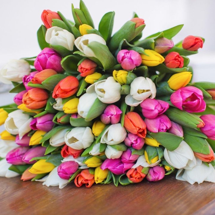79 тюльпанов "Рандом" в Архангельске