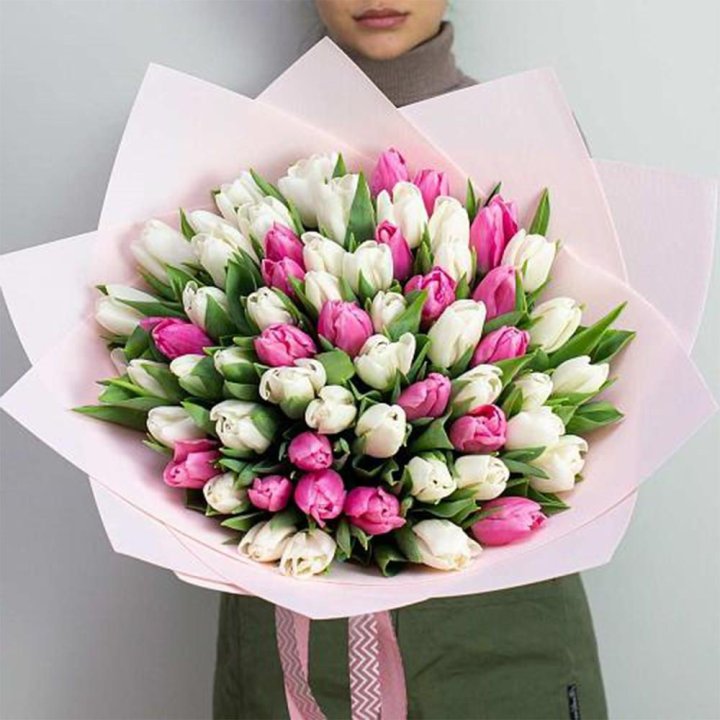 61 бело-розовый тюльпан в Архангельске