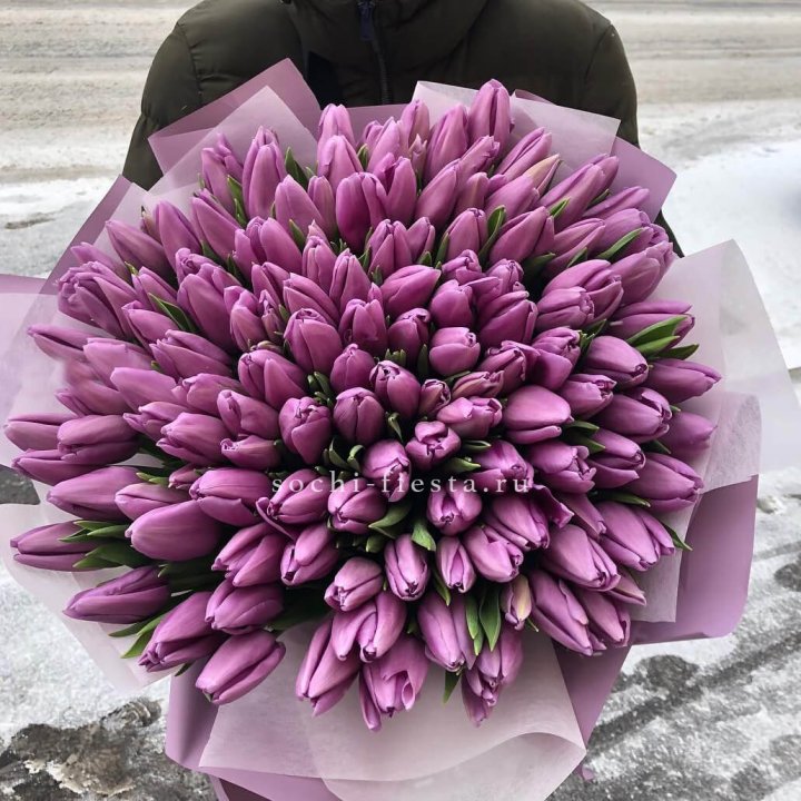 101 сиреневый тюльпан в Архангельске