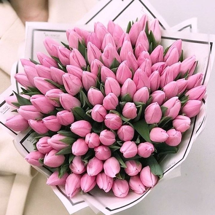 101 розовый тюльпан в белом в Архангельске