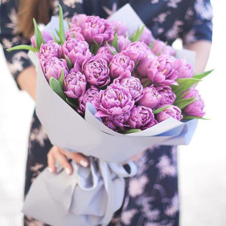 Тюльпаны "Пионс" в Архангельске