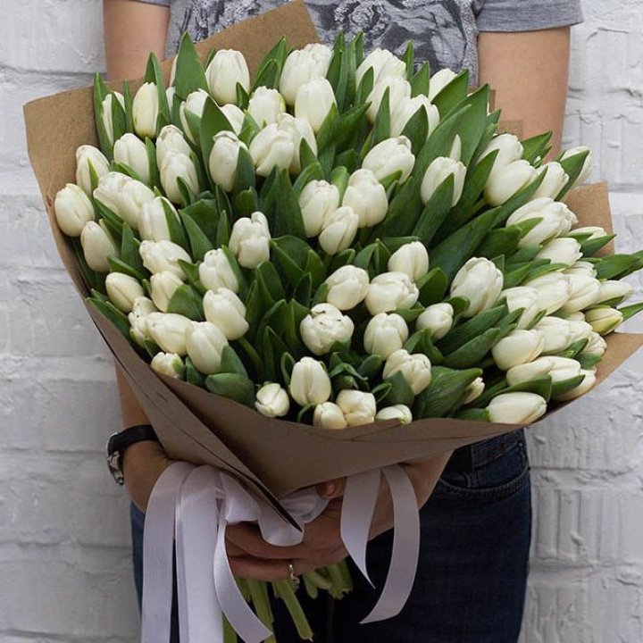 101 тюльпан сноу в Архангельске