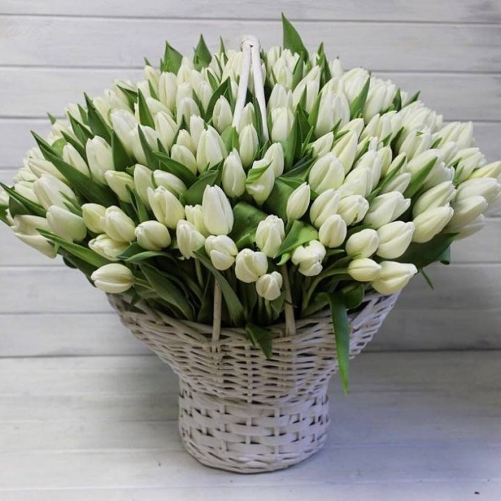 Корзина из 151 тюльпана в Архангельске