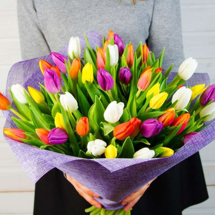 51 тюльпан "Рандом" №2 в Архангельске