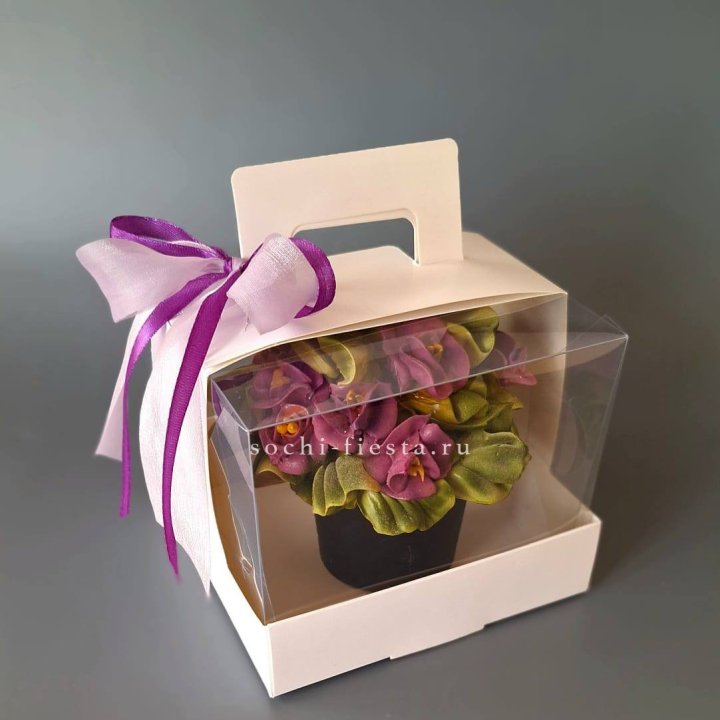  Зефир "Фиалка" в Архангельске